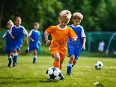 英超名宿评,維迪奇與費,迪南德,新葡京,新葡京app,新葡京娱乐,新普京赌场