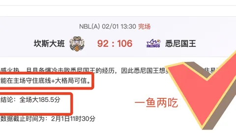 大乐透期号专家质合分析：黄蜂挑战东部榜尾之争